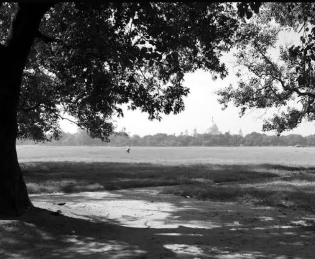 সেপিয়া রঙের গলি  <br />  একাদশ পর্ব  <br /> অঙ্কিতা বন্দ্যোপাধ্যায়