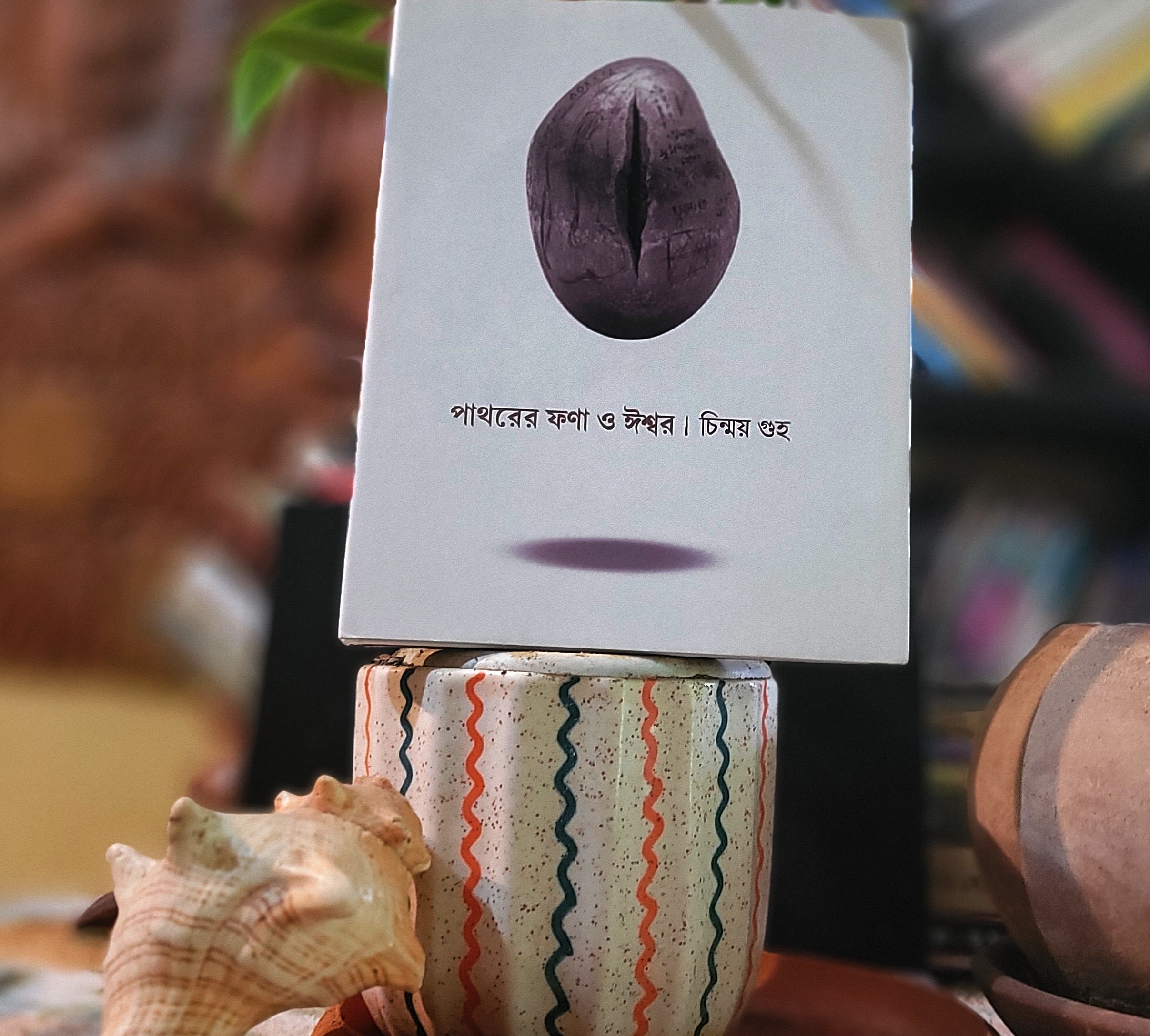 পাথর থেকে সবুজের আভায় ঐশ্বরিক মূর্ছনা: প্রাবন্ধিক চিন্ময় গুহ র ‘পাথরের ফনা ও ঈশ্বর’ সোনালী চন্দ