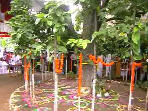 করমপরব: ফসলের আবাহন   বেবী সাউ